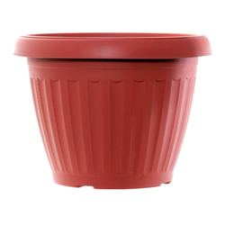 ESG Variety Ltd.
