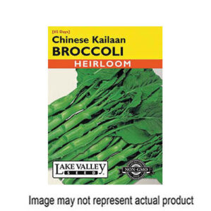 CHINESE KAILAAN BROCCOLI SEEDS