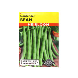 CONTENDER BUSH BEANS SEEDS Heirloom Vegetable