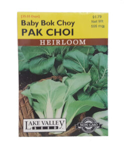 Baby Bok Choy PAK CHOI