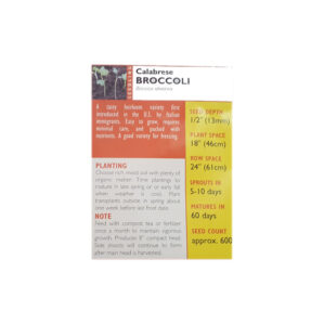 CALABRESE BROCCOLI - Image 2