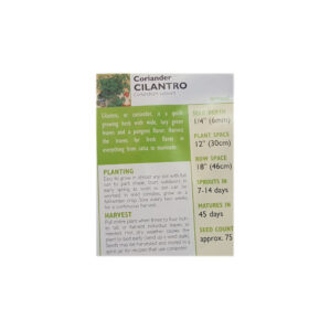 CORIANDER CILANTRO - Image 2