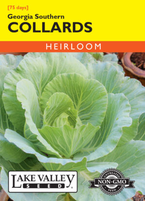 GEORGIA SOUTHERN COLLARDS