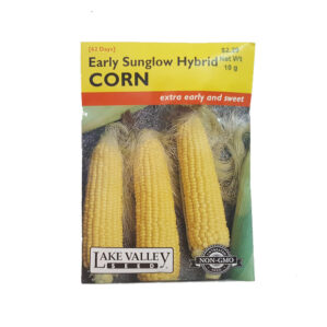 EARLY SUNGLOW HYBRID CORN