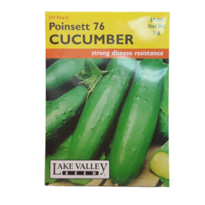 POINSETT 76 CUCUMBER