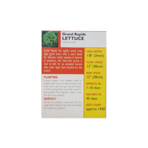 GRAND RAPIDS LETTUCE - Image 2
