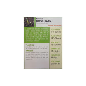 FRENCH ROSEMARY - Image 2