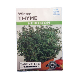 WINTER THYME