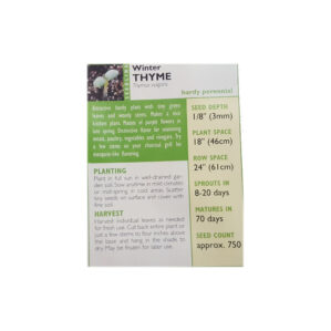 WINTER THYME - Image 2