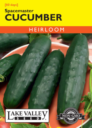 Cucumber Spacemaster seeds