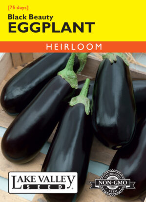 Eggplant Black Beauty seeds