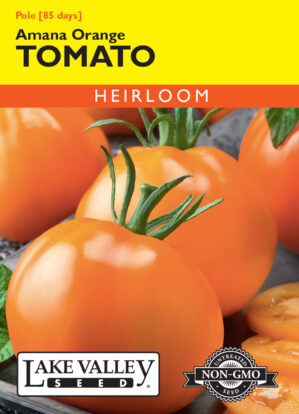 Tomato Green Zebra