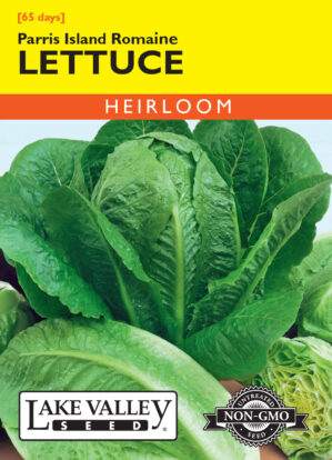 Lettuce Romaine Parris Island