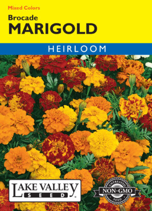 Marigold Brocade Mixed Colors flower seeds