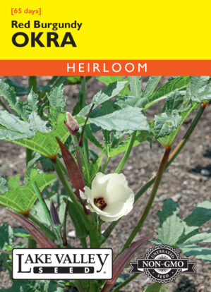 Okra Red Burgundy seeds