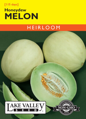 Melon Honeydew