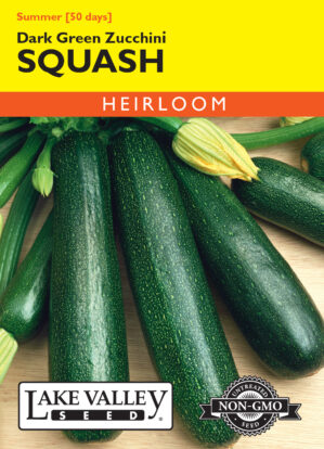 Dark Green Zucchini Squash