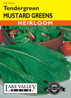 Mustard Greens Tendergreen seeds