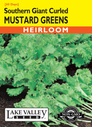 Mustard Greens Southern Giant Curled seeds