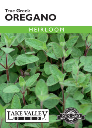 Oregano True Greek seeds