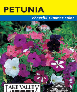 Petunia Hybrid Choice Mixed Colors flower seeds