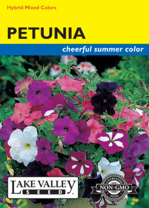 Petunia Hybrid Choice Mixed Colors flower seeds