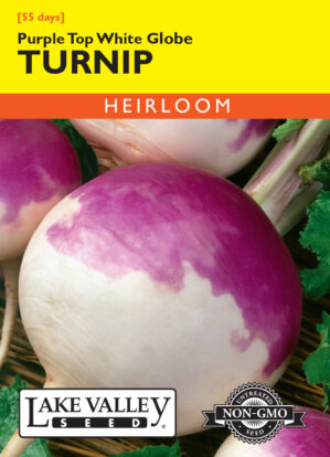 Turnip Purple Top White Globe seeds