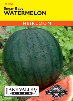 Watermelon Sugar Baby seeds