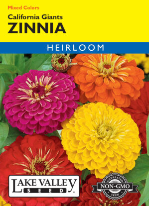Zinnia California Giants Mixed Colors flower seeds