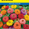 Zinnia Button Box Mixed Colors flower seeds
