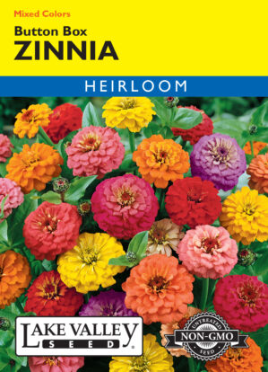 Zinnia Button Box Mixed Colors flower seeds