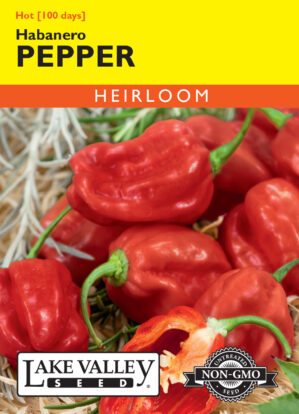 Pepper Hot Habanero Red seeds