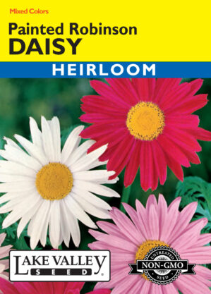 Daisy Painted Robinson Mixed Colors flower seeds
