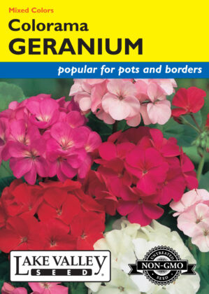 Geranium Colorama Mixed Colors flower seeds