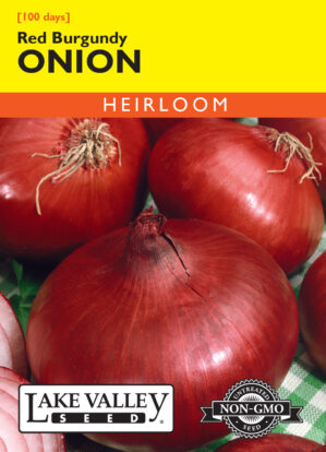Onion Red Burgundy (Short Day) seeds