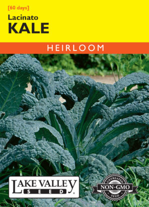 Kale Lacinato