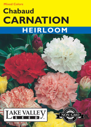 Carnation Chabaud Mixed Colors flower seeds