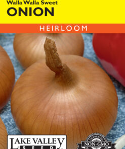Onion Walla Walla Sweet (Long Day) seeds