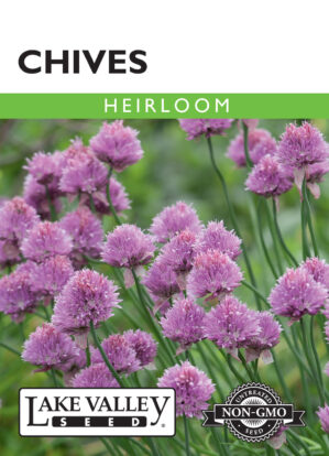 Chives seeds