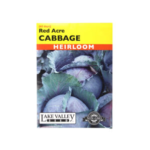 Red Acre Heirloom Cabbage SEEDS