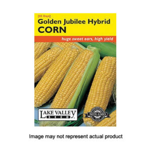 GOLDEN JUBILEE CORN SEEDS