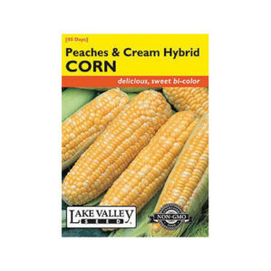PEACHES & CREAM CORN SEEDS