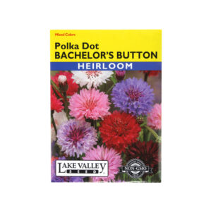 Bachelor's Button - Polka Dot Flower seeds
