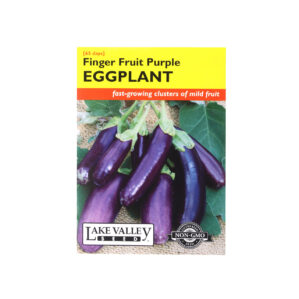 FINGER FRUIT PURPLE EGGPLANT