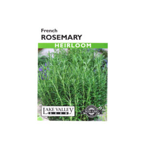Rosemary French Heirloom