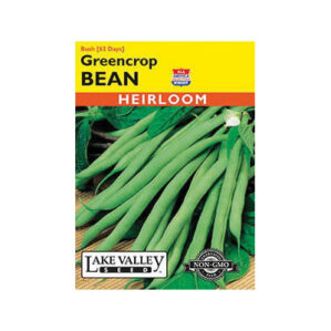 Greencrop Bush Bean Seeds, Bush Bean, Phaseolus Vulgaris