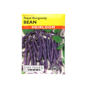 Royal Burgundy Bean