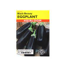 BLACK BEAUTY EGGPLANT