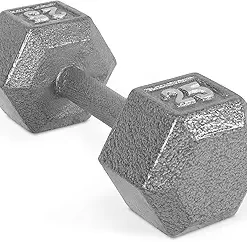 DUMBBELL 25LB
