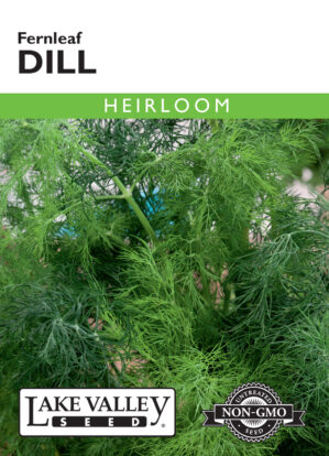 Dill Fernleaf